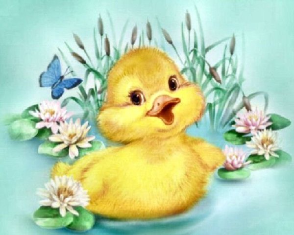 Аниме цыпленок