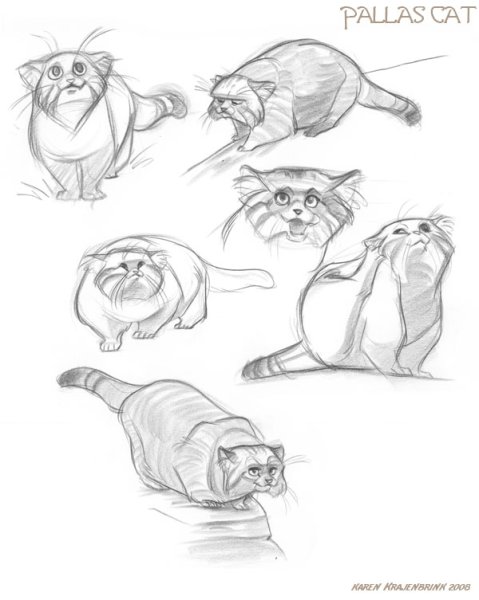 Манул нарисовать