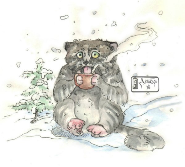 Аниме кот Манул