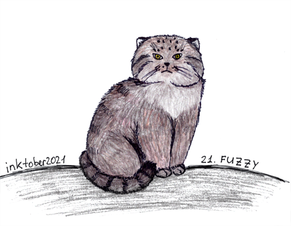 Манул арт рисунок