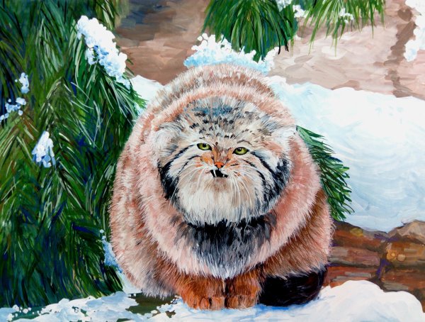 Кот Манул арт