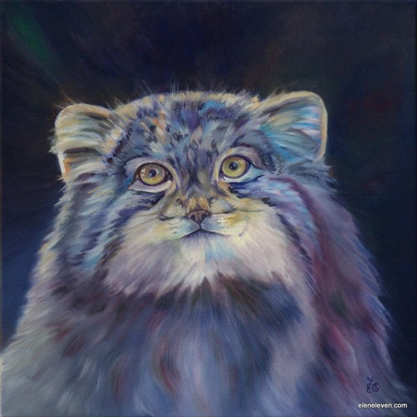 Манул аватар