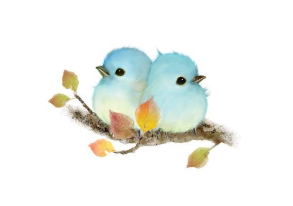 Акварель птички милые