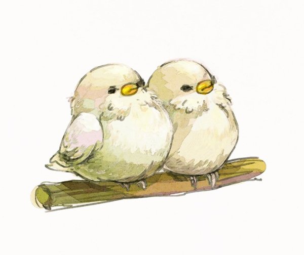 Милые птички