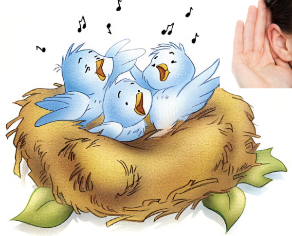 Гнездо с птенцами мультяшное