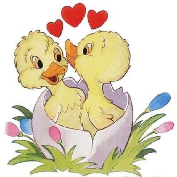 Утенок с цветами