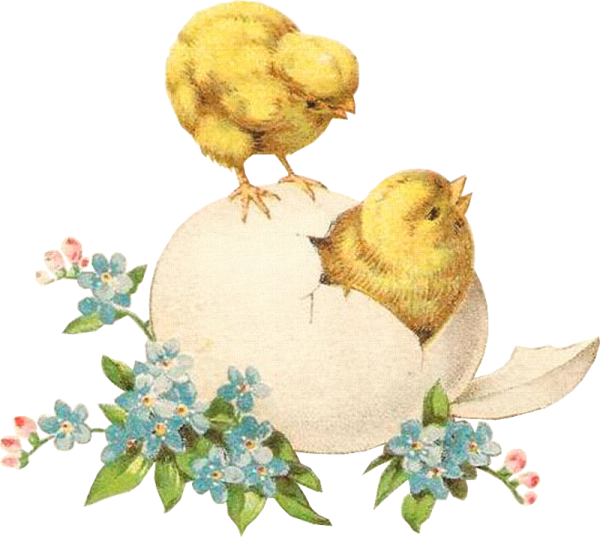 Пасхальные открытки с цыплятами