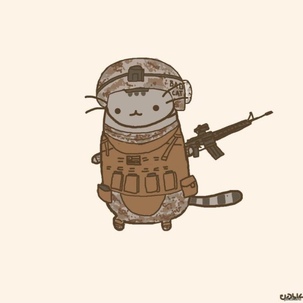 Кот Пушин военный