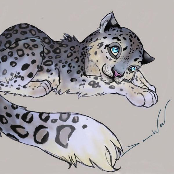 Коты Воители снежный Барс