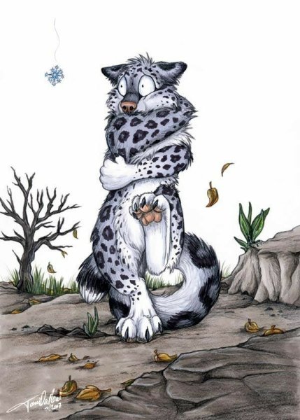 Коты Воители снежный Барс