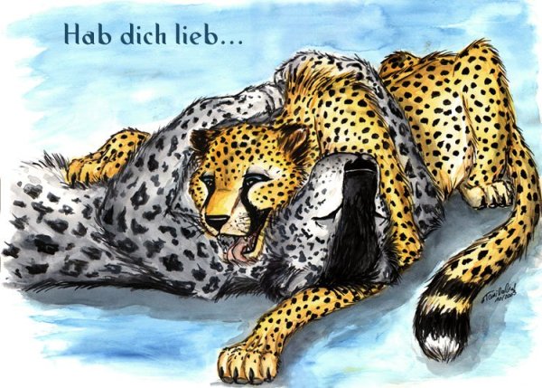 Гепард и снежный Барс