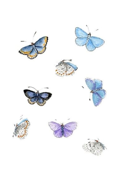 Милые бабочки рисунки