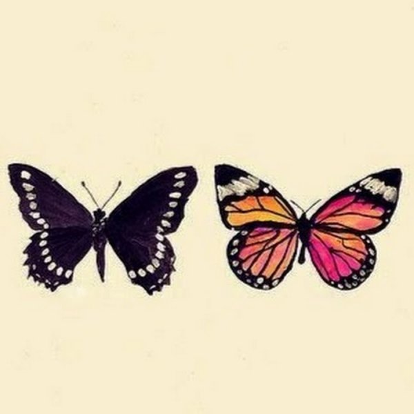 Бабочки для срисовки маленькие