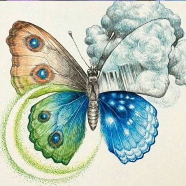 Необычная бабочка рисунок