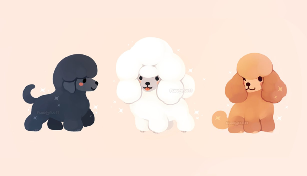 Пудель в мультяшном стиле