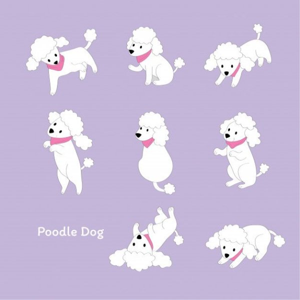 Наклейка пудель