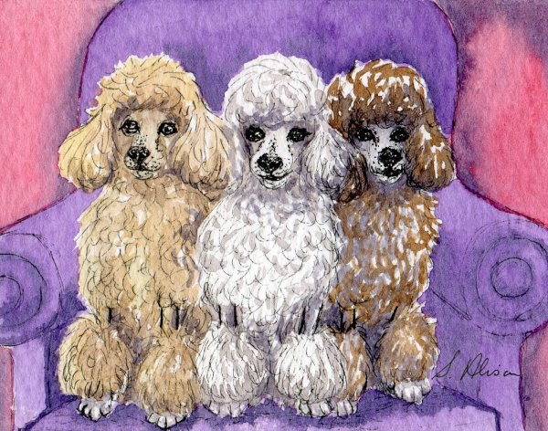 Пудель мультяшный