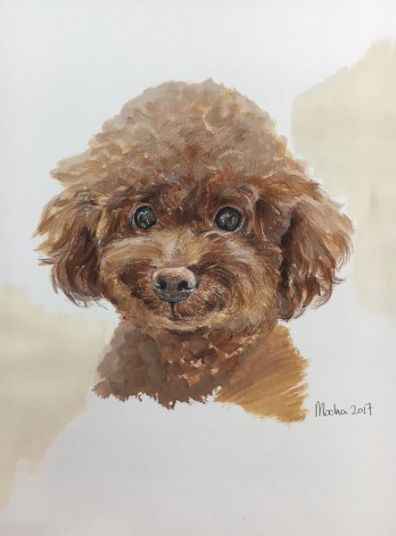 Карликовый пудель вектор