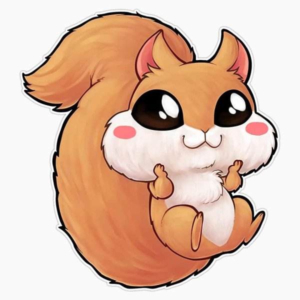 Кавайная белка