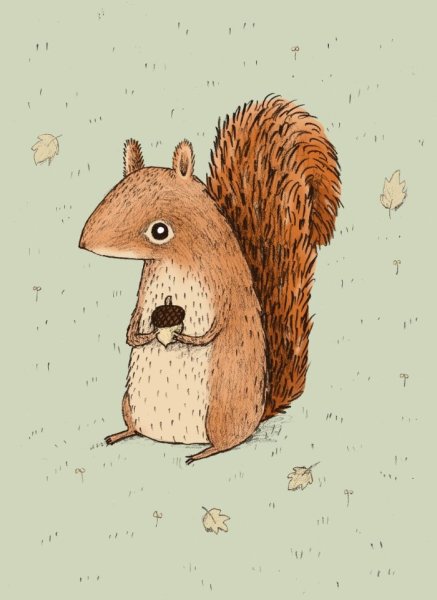 Белка иллюстрация