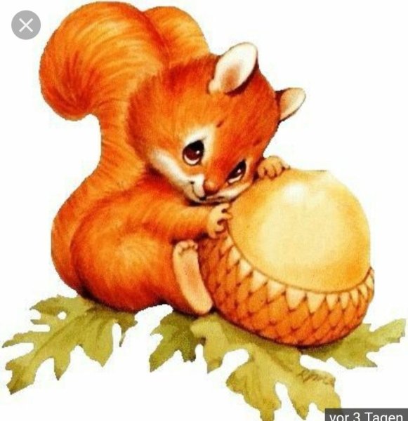 Белка летяга тату