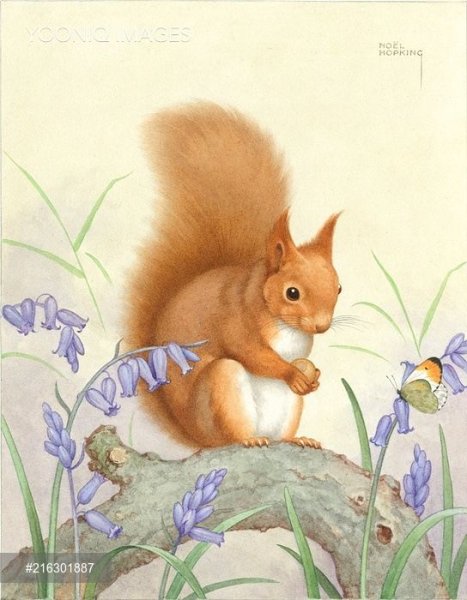 Лесные животные