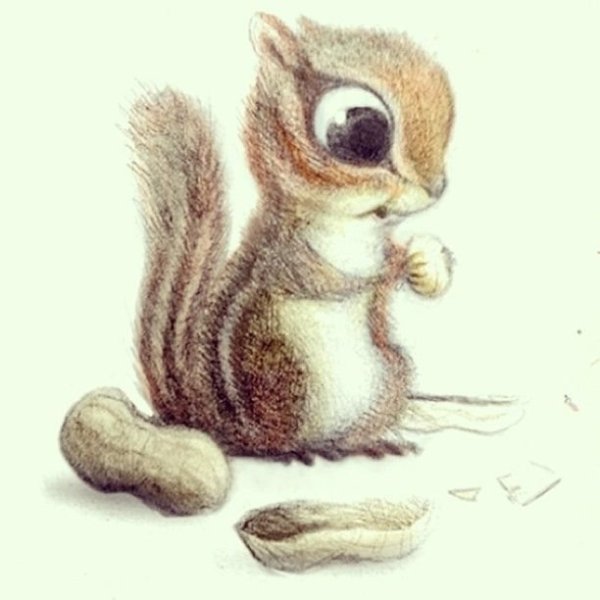 Белка акварелью