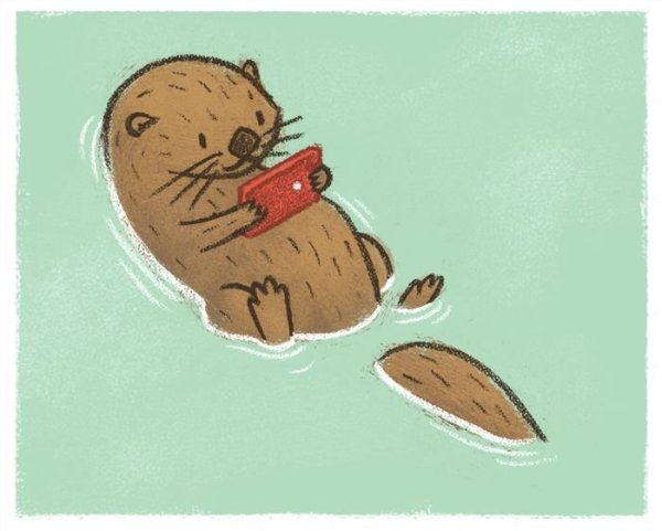 Бобр нарисованный милый