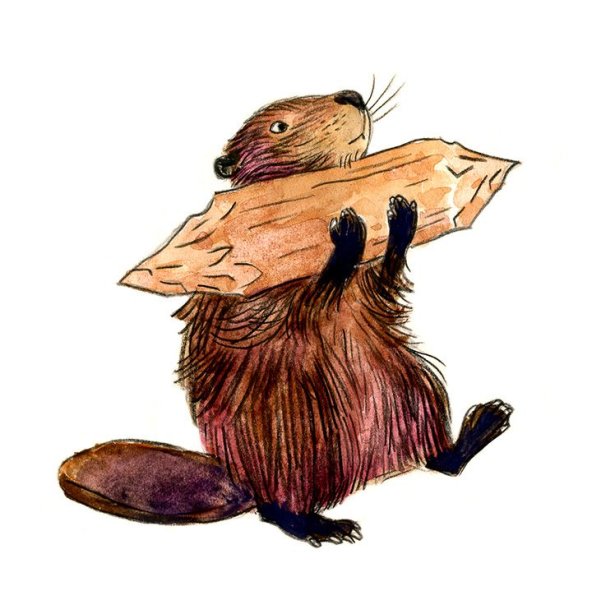 Арты с бобрами