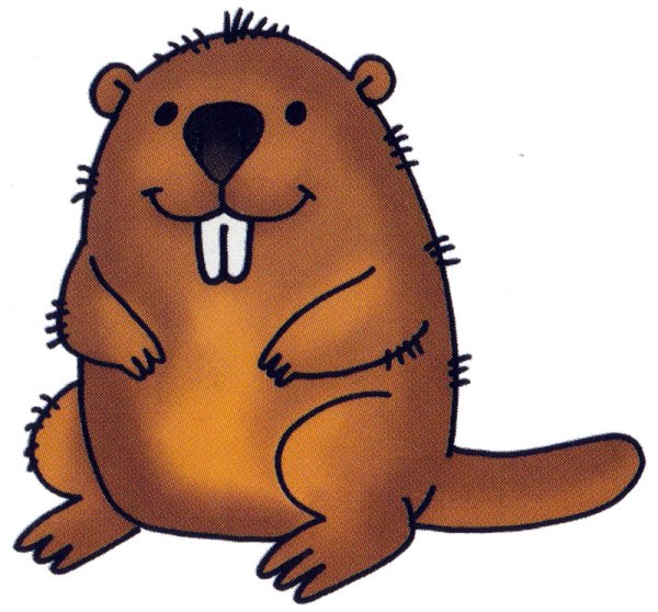 Бобры вектор