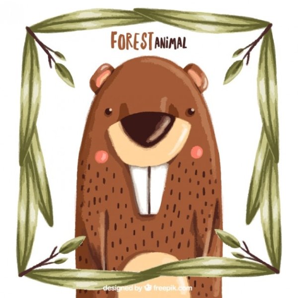 Бобер заставка