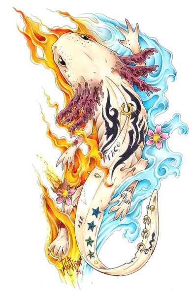 Саламандра аксолотль арт