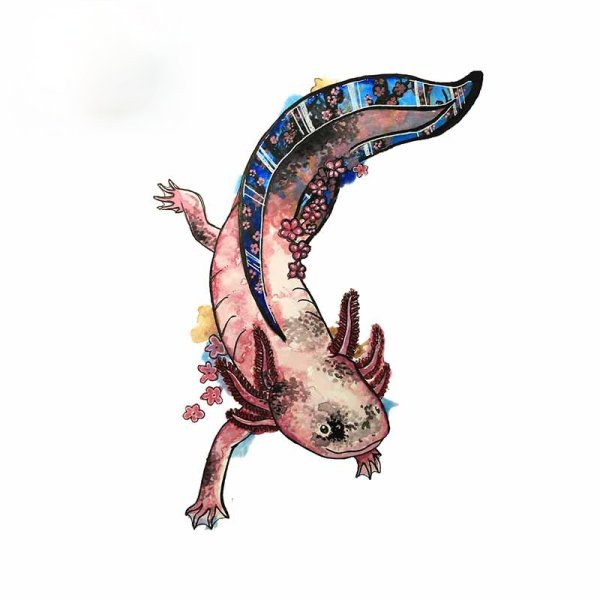 Аксолотль акварелью