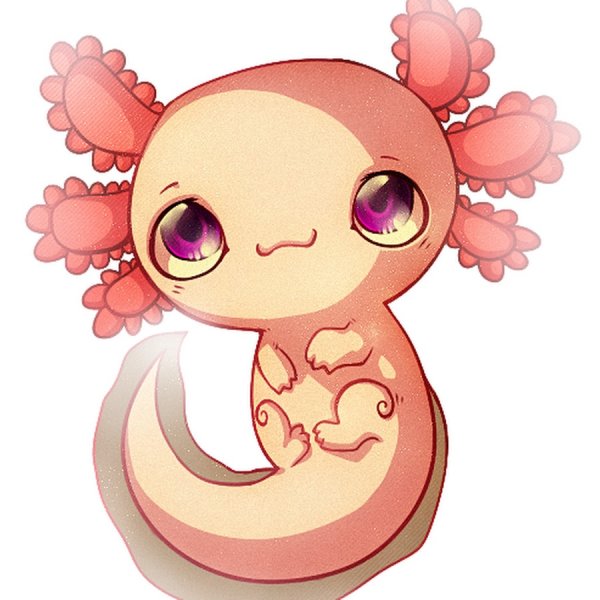 Аксолотль Эволюция