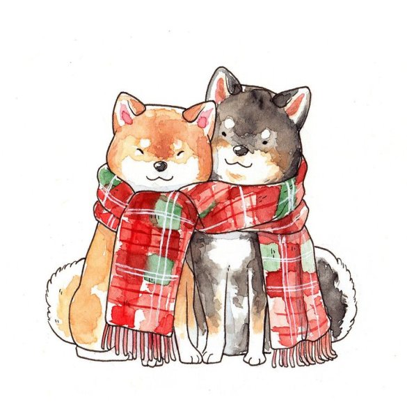 Шиба ину щенки арт