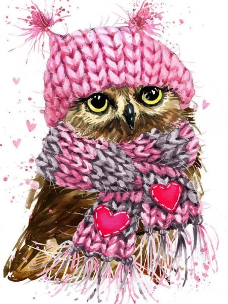 Совушки в шарфиках