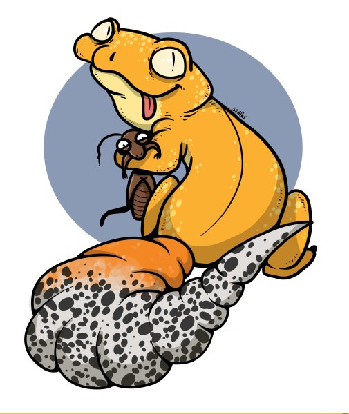 Геккон эублефар арт