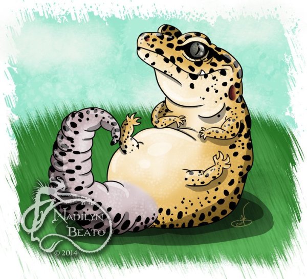 Эублефар мультяшный