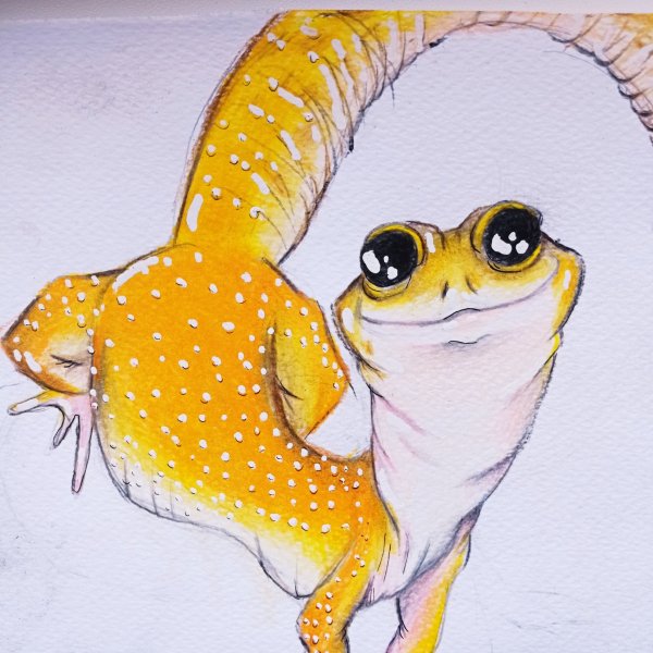 Эублефар мультяшный