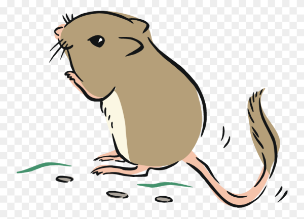 Нарисовать Песчанку