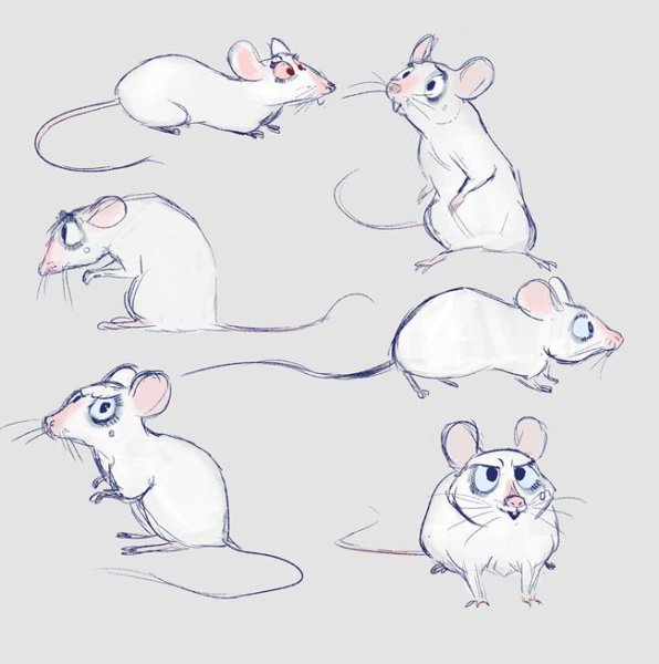 Крыса референс