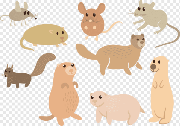 Векторный клипарт Грызуны