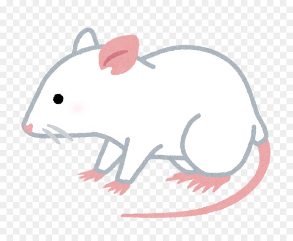 Нарисовать крысу