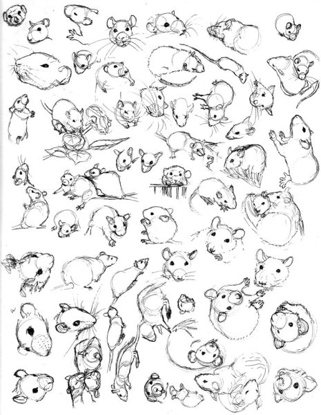 Мини рисунки с животными