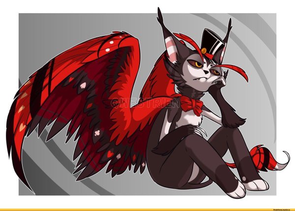 ХАСК отель ХАЗБИН арт