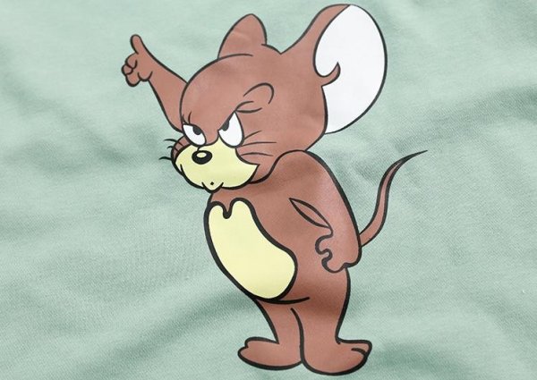 Мышонок Джерри и Джерри