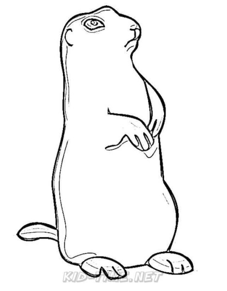 Степь рисунок