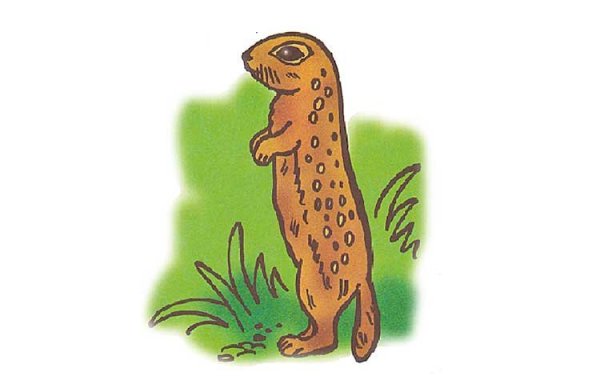 Суслик из мультика