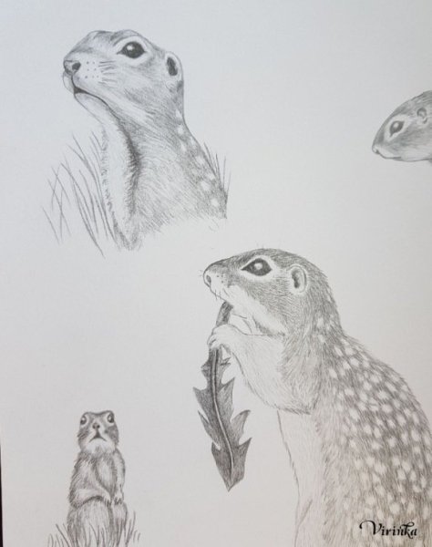 Аниме хомячок