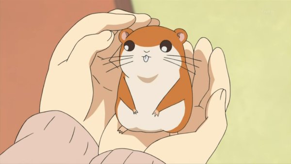 Айдахский суслик